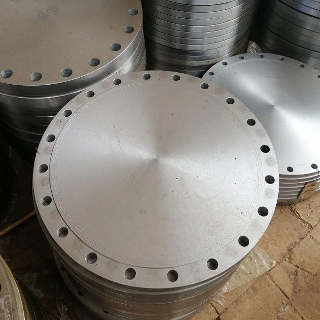 Stainless Steel Forged RF Blind Flange